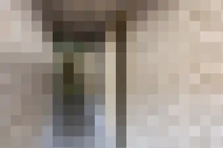 Zigzagoven 21 Delfzijl thumbnail 32
