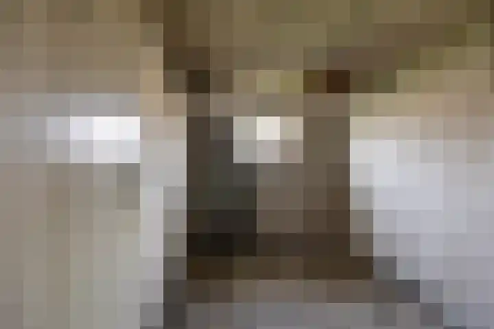 Zigzagoven 21 Delfzijl thumbnail 33