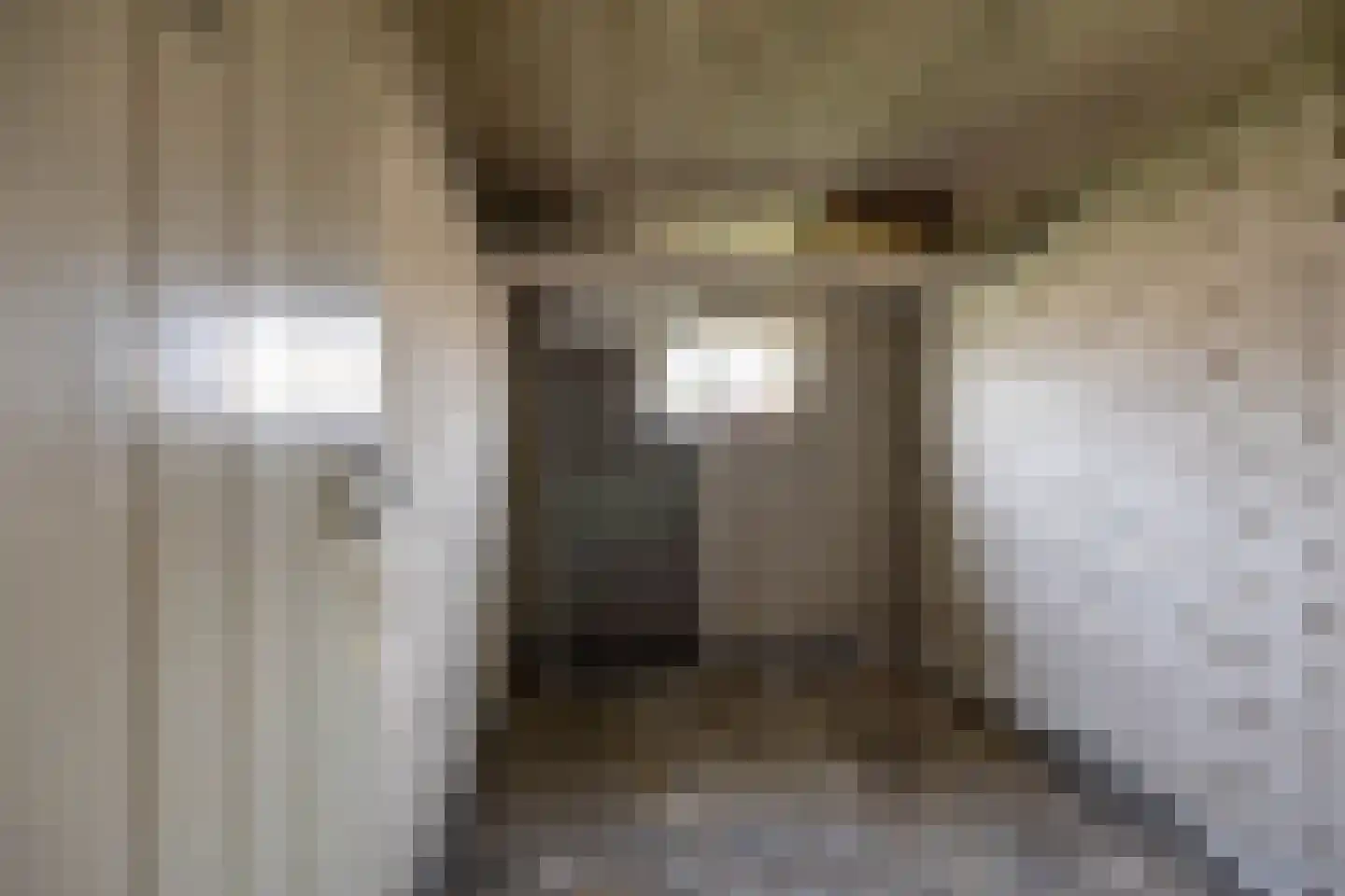 Zigzagoven 21 Delfzijl thumbnail 33