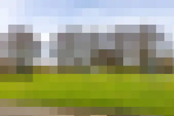 Zigzagoven 21 Delfzijl thumbnail 37