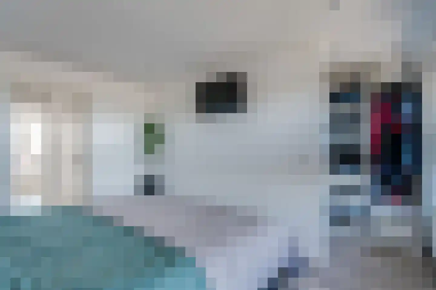 Zigzagoven 49 Delfzijl thumbnail 35