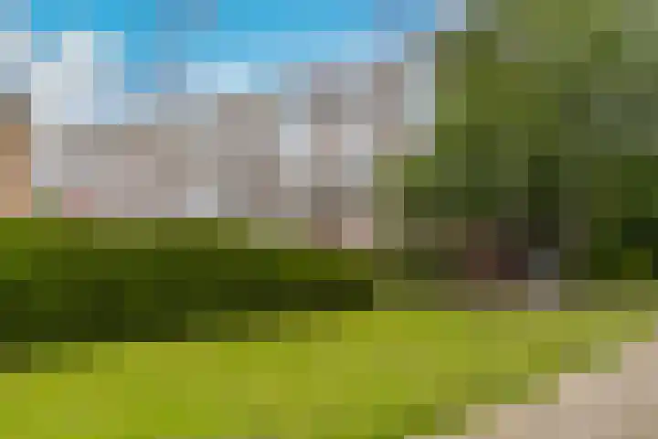 Zigzagoven 55 Delfzijl thumbnail 7
