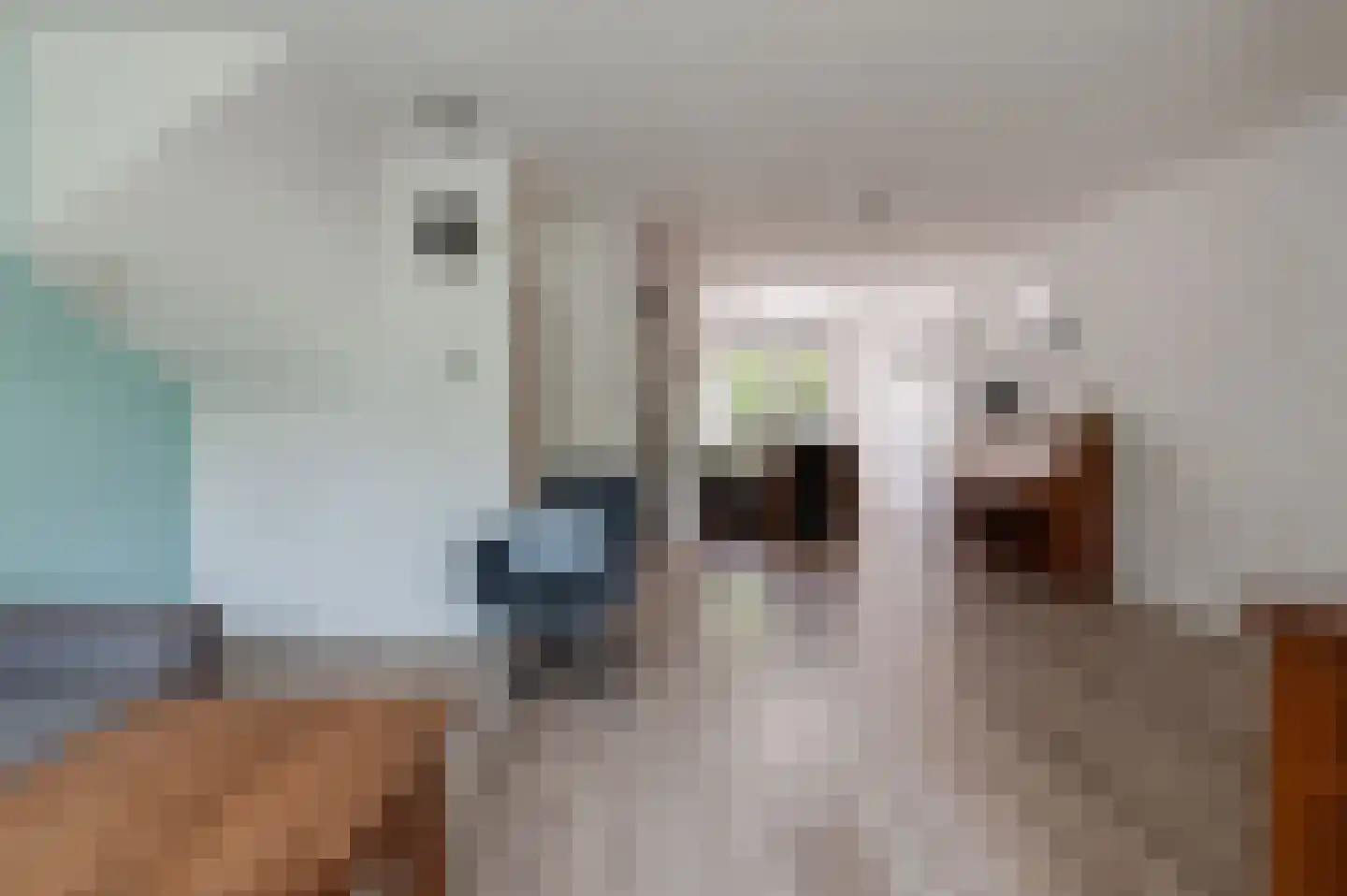 Zigzagoven 68 Wijk bij Duurstede thumbnail 13