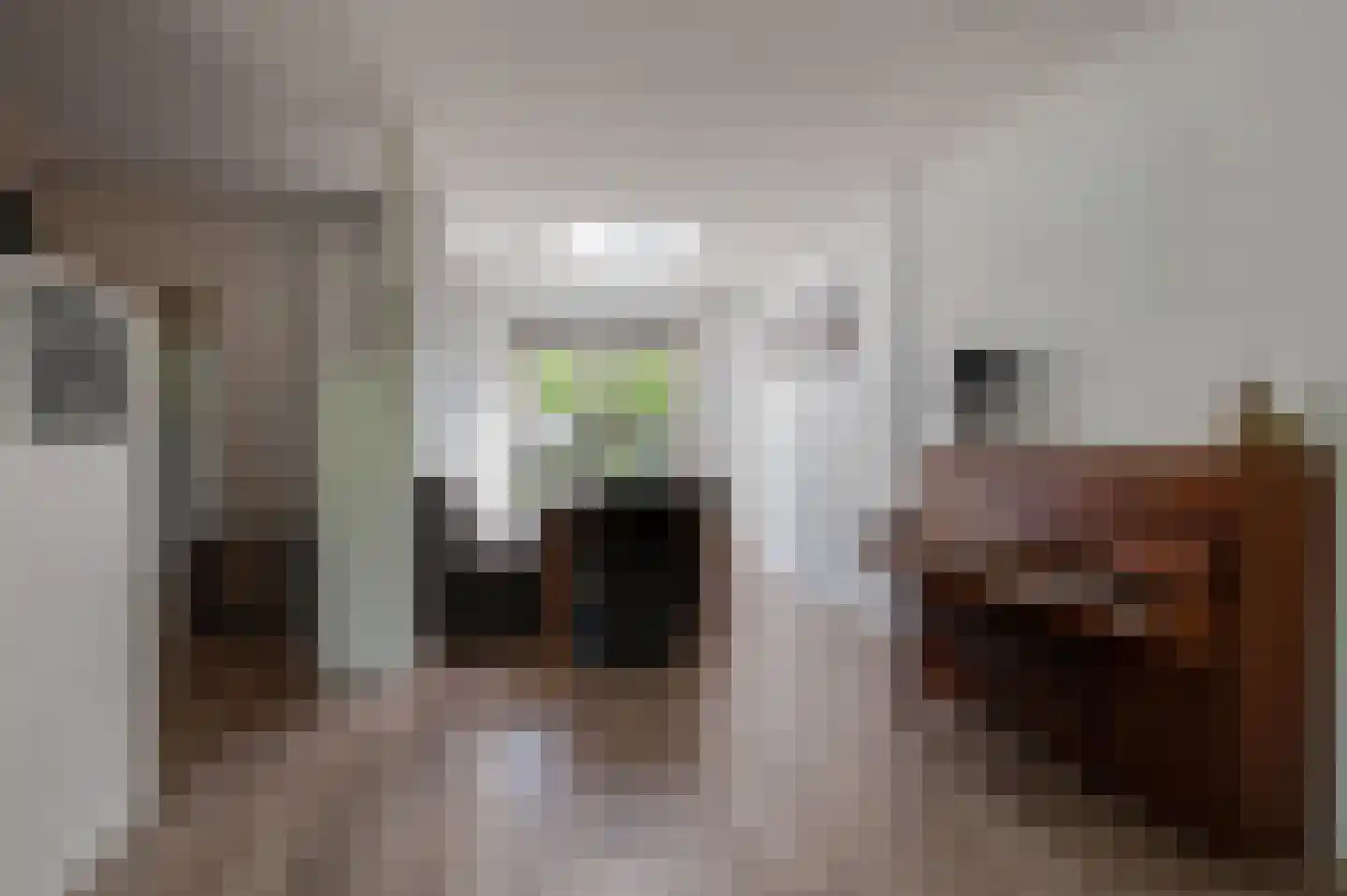 Zigzagoven 68 Wijk bij Duurstede thumbnail 16