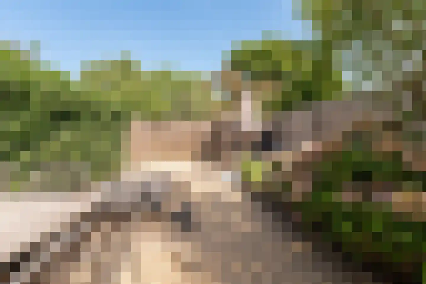 Zigzagoven 68 Wijk bij Duurstede thumbnail 22