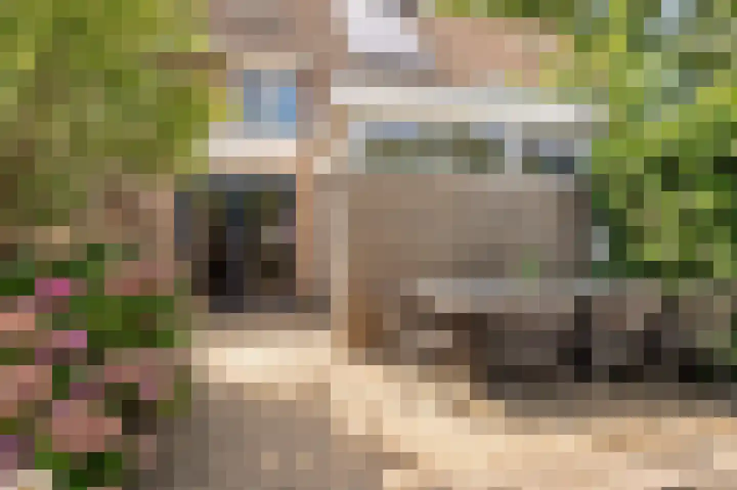 Zigzagoven 68 Wijk bij Duurstede thumbnail 24