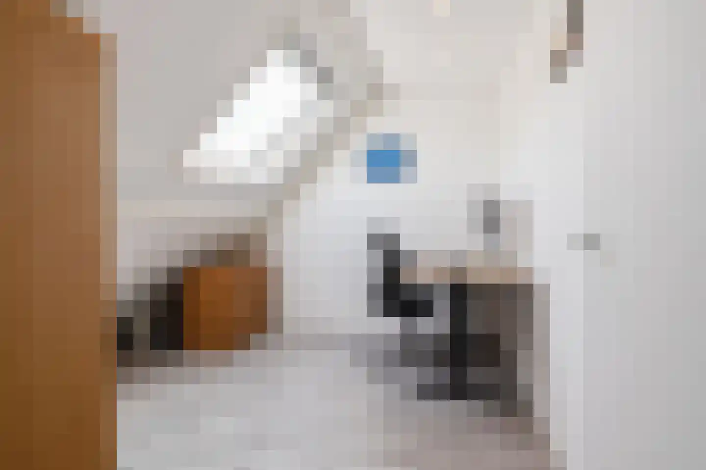 Zigzagoven 68 Wijk bij Duurstede thumbnail 45