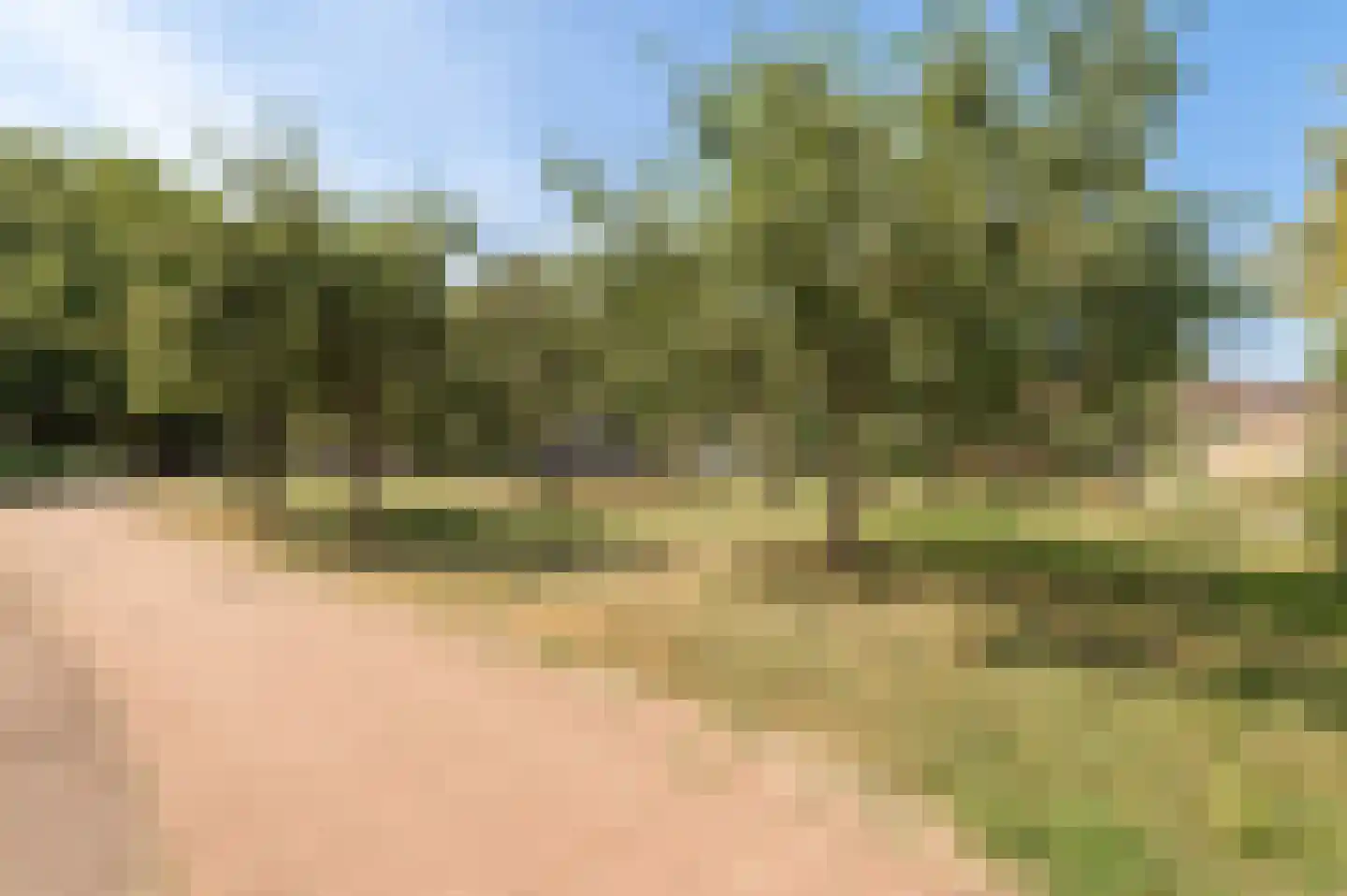 Zigzagoven 68 Wijk bij Duurstede thumbnail 48
