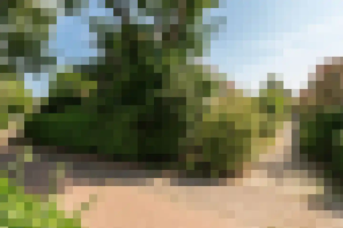 Zigzagoven 68 Wijk bij Duurstede thumbnail 50