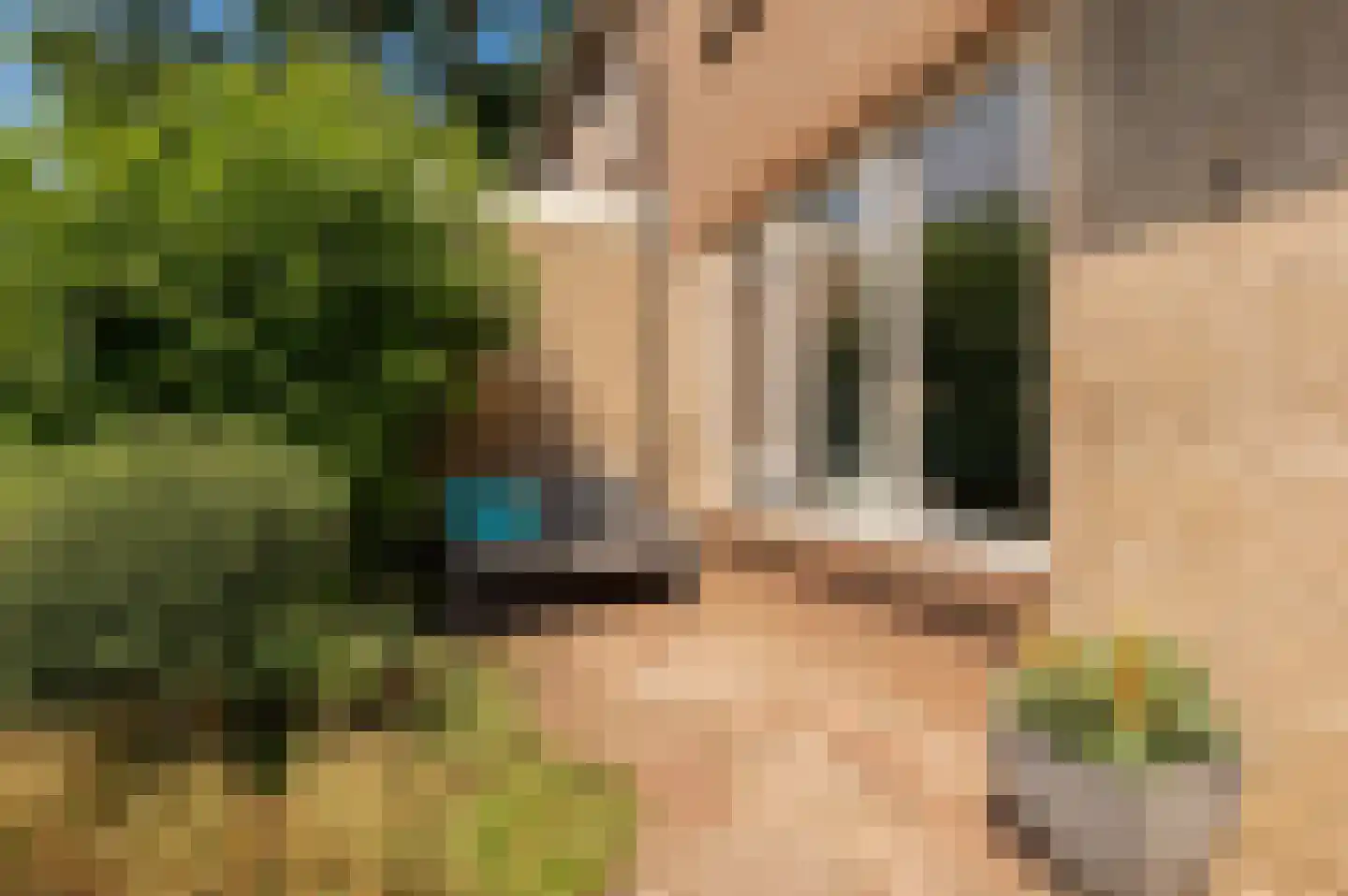 Zigzagoven 68 Wijk bij Duurstede thumbnail 6