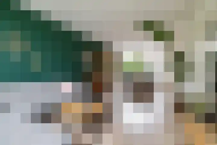 Zigzagoven 79 Delfzijl thumbnail 13