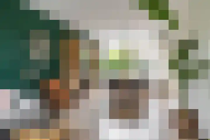 Zigzagoven 79 Delfzijl thumbnail 14