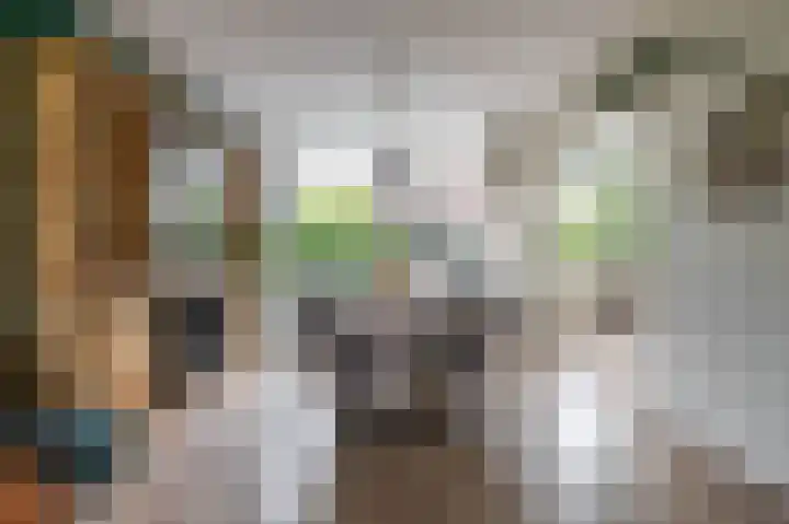 Zigzagoven 79 Delfzijl thumbnail 15