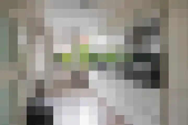 Zigzagoven 79 Delfzijl thumbnail 17