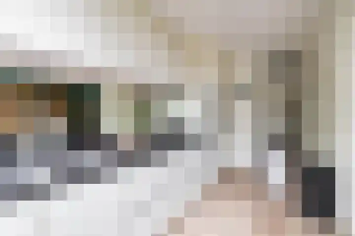 Zigzagoven 79 Delfzijl thumbnail 19