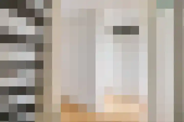 Zigzagoven 79 Delfzijl thumbnail 21