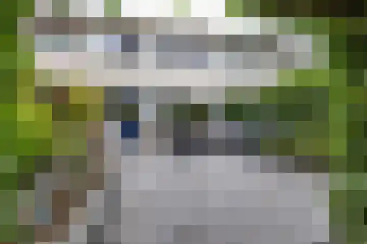 Zigzagoven 79 Delfzijl thumbnail 36