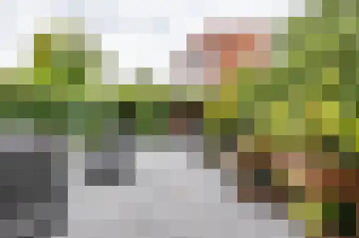 Zigzagoven 79 Delfzijl thumbnail 40