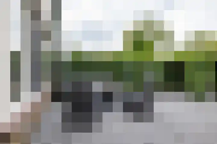 Zigzagoven 79 Delfzijl thumbnail 41