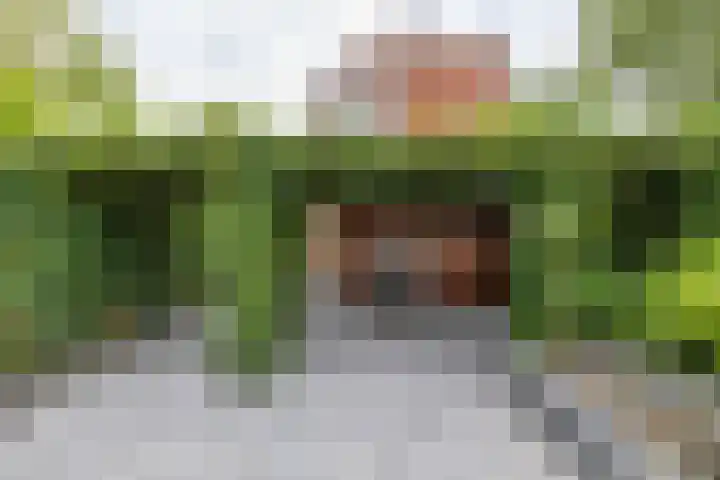 Zigzagoven 79 Delfzijl thumbnail 42