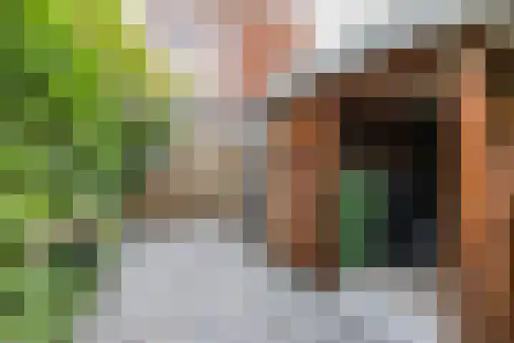 Zigzagoven 79 Delfzijl thumbnail 46