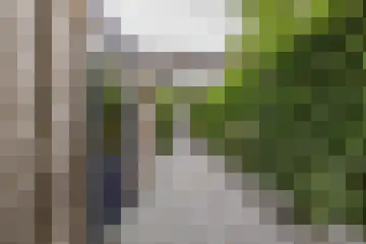 Zigzagoven 79 Delfzijl thumbnail 49