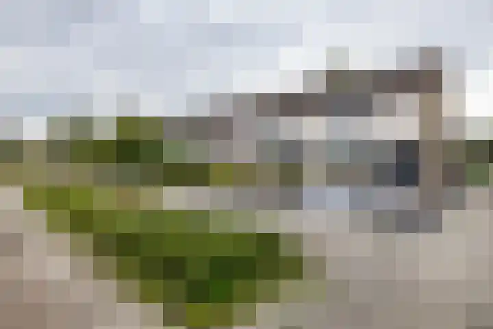 Zigzagoven 79 Delfzijl thumbnail 5