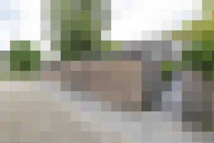 Zigzagoven 79 Delfzijl thumbnail 50