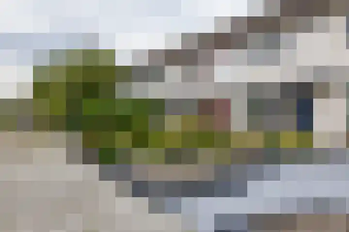 Zigzagoven 79 Delfzijl thumbnail 6