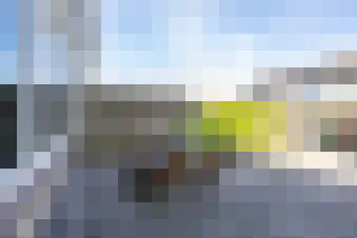 Zigzagoven 95 Delfzijl thumbnail 45
