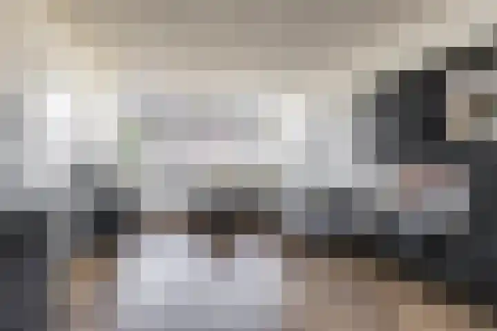 Zigzagoven 95 Delfzijl thumbnail 8
