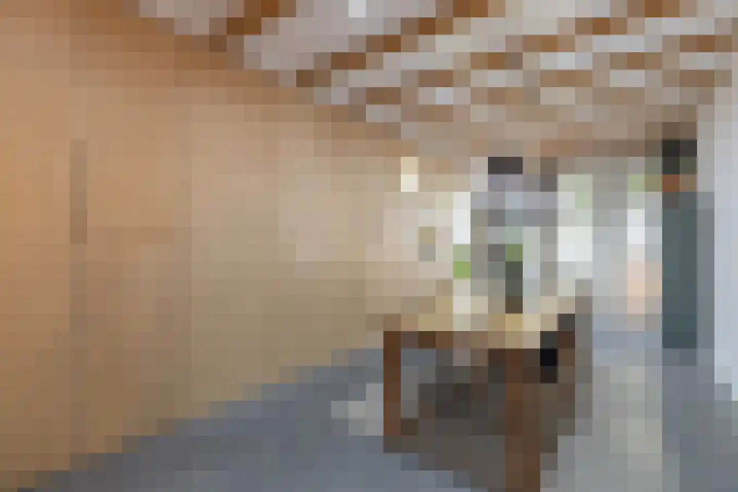 Zijdam 6 Alkmaar thumbnail 12