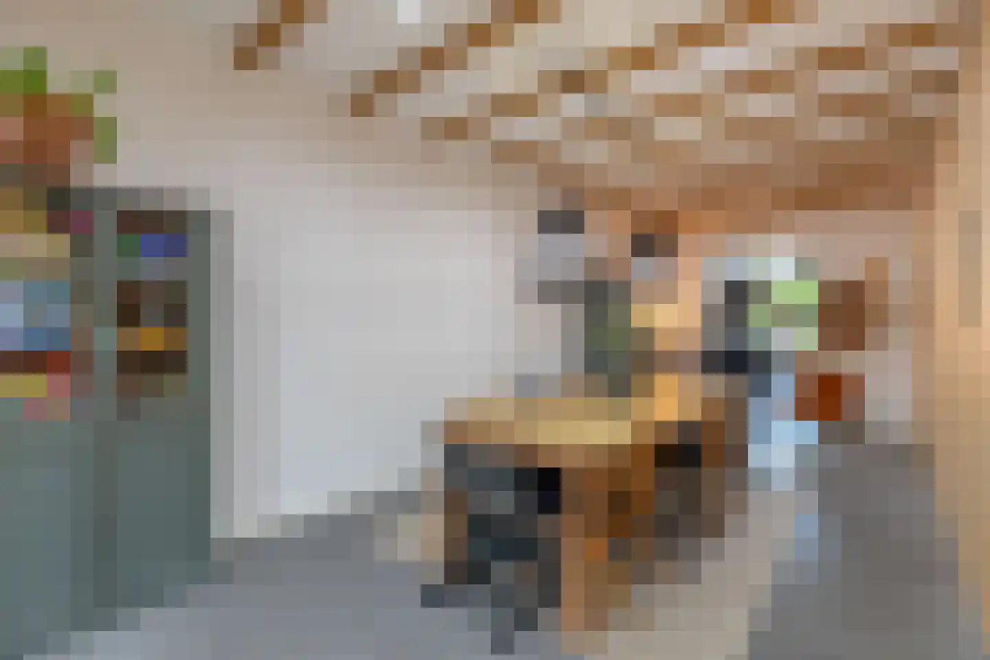 Zijdam 6 Alkmaar thumbnail 14