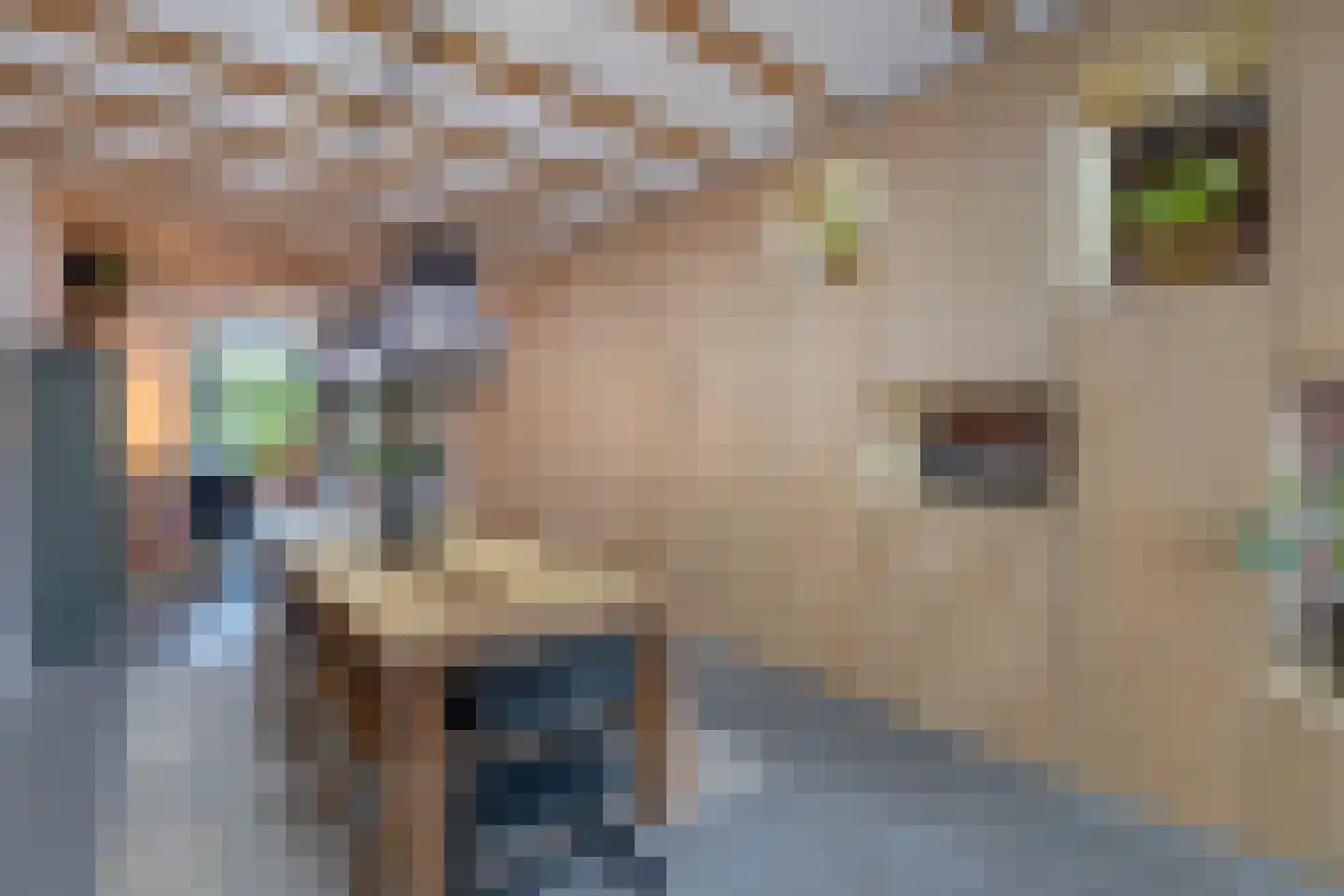 Zijdam 6 Alkmaar thumbnail 15