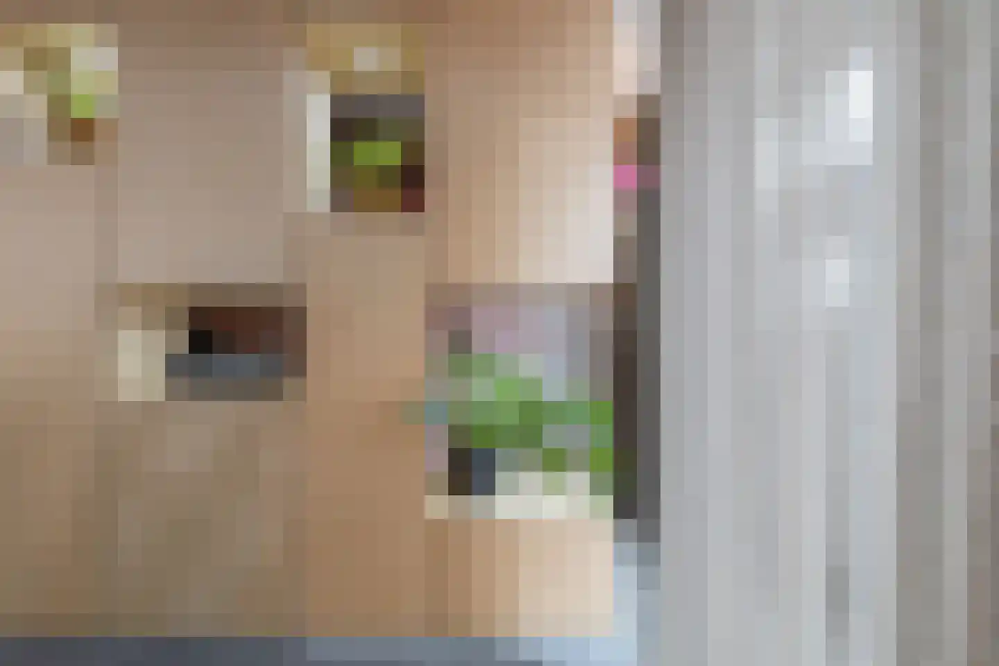 Zijdam 6 Alkmaar thumbnail 16