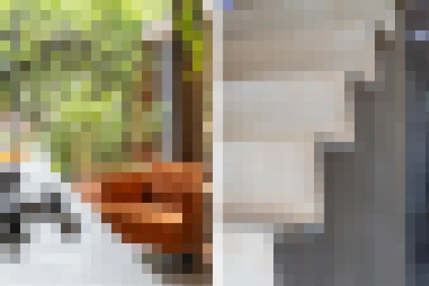 Zijdam 6 Alkmaar thumbnail 19
