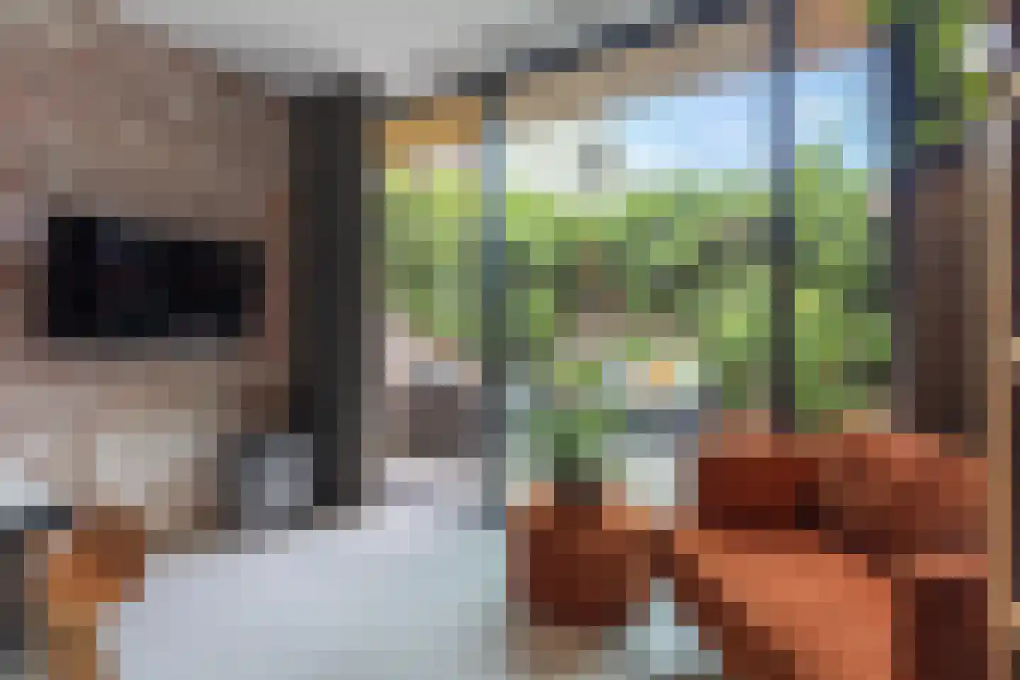 Zijdam 6 Alkmaar thumbnail 21