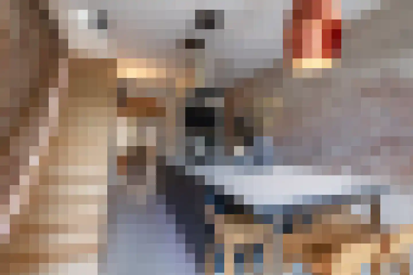 Zijdam 6 Alkmaar thumbnail 25