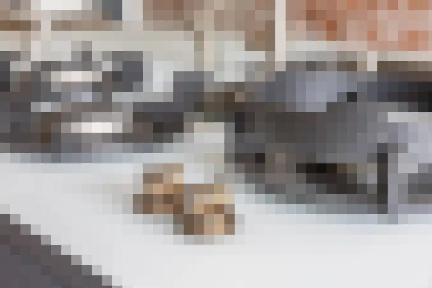 Zijdam 6 Alkmaar thumbnail 27
