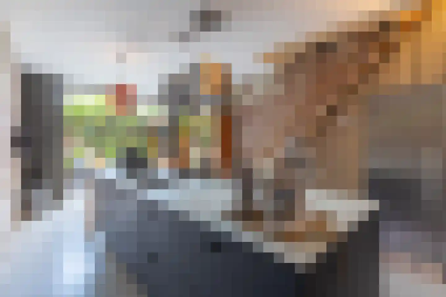 Zijdam 6 Alkmaar thumbnail 28