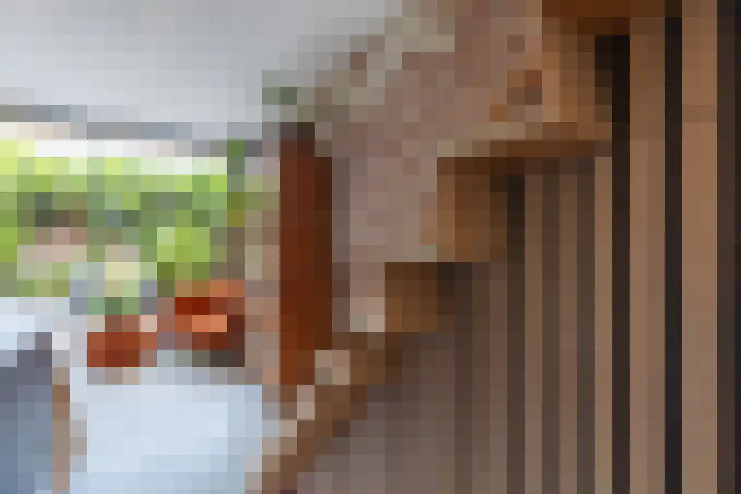 Zijdam 6 Alkmaar thumbnail 31