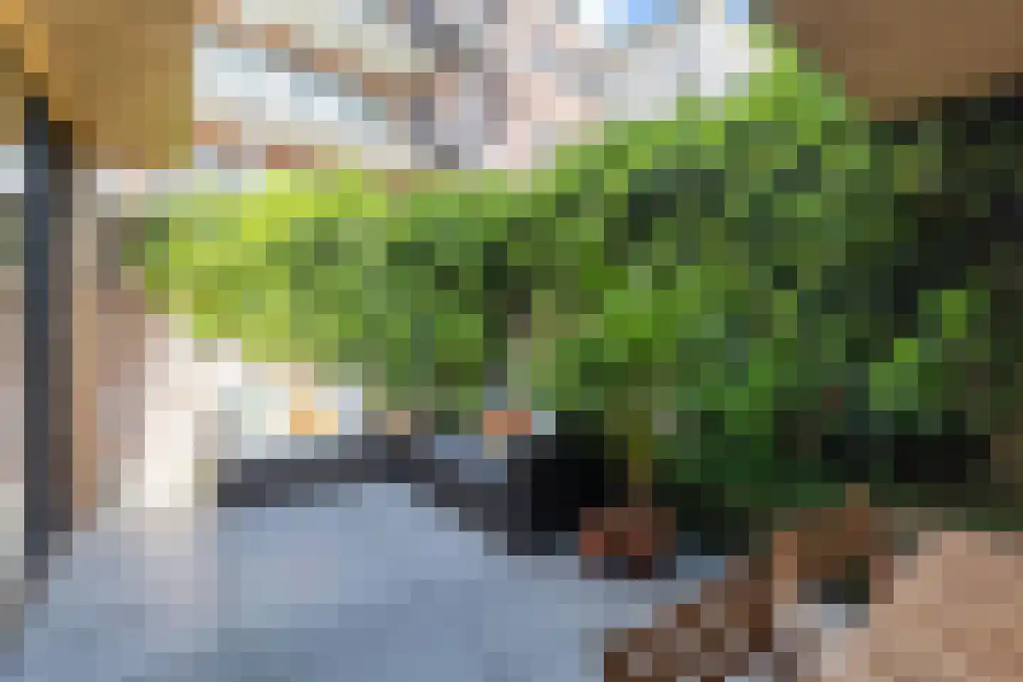 Zijdam 6 Alkmaar thumbnail 32