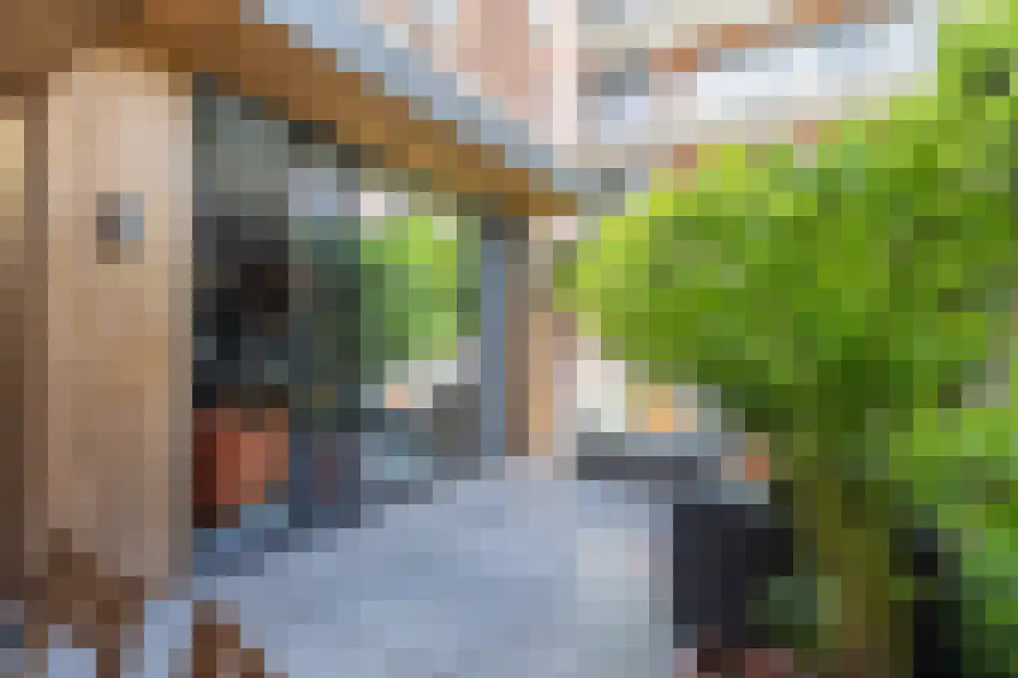 Zijdam 6 Alkmaar thumbnail 33