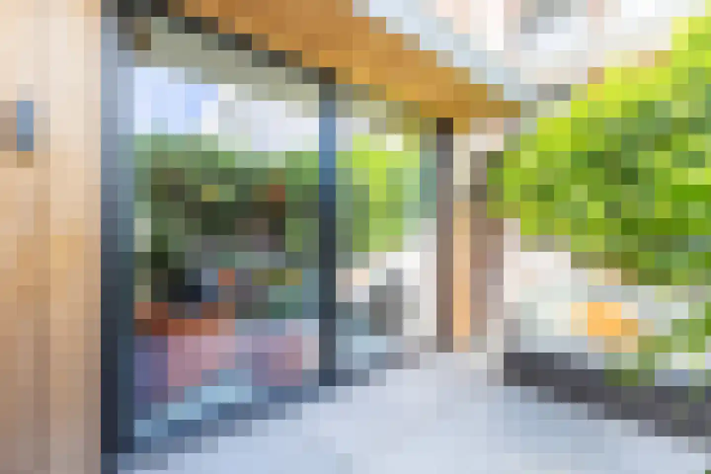 Zijdam 6 Alkmaar thumbnail 35