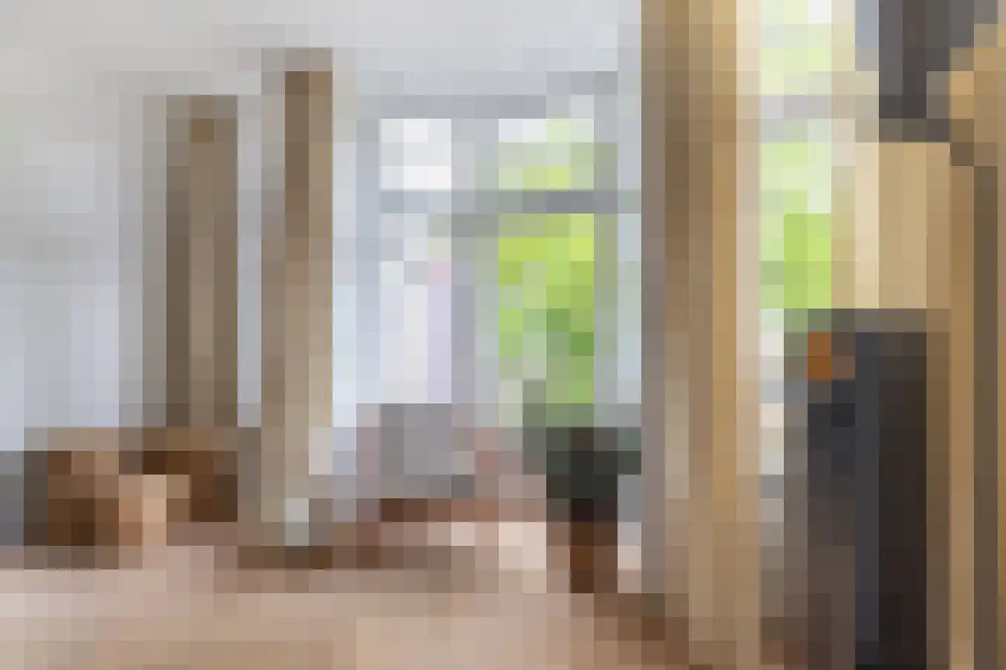 Zijdam 6 Alkmaar thumbnail 4