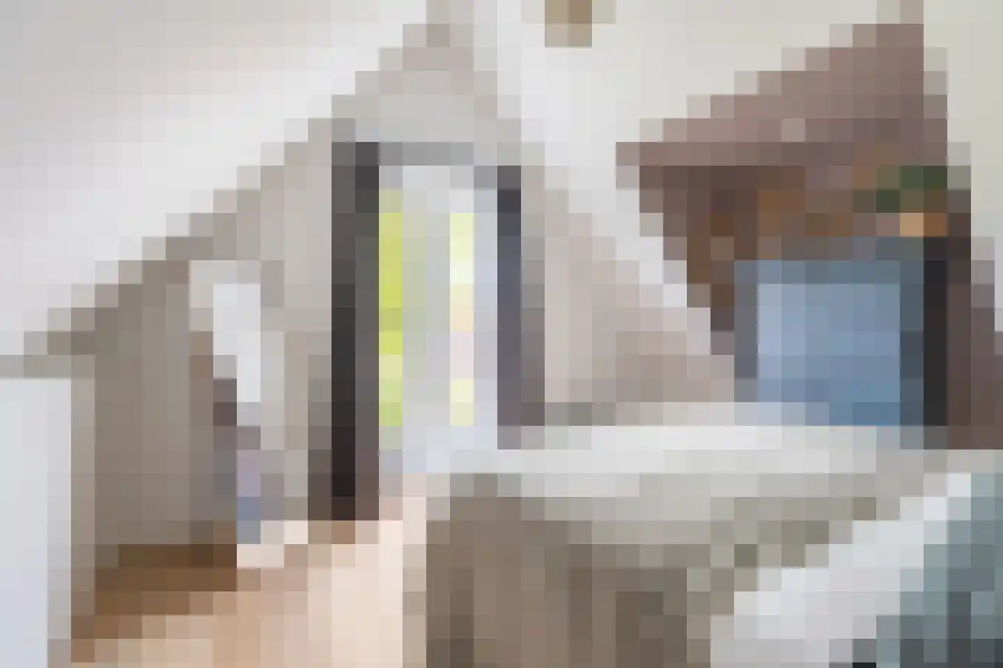 Zijdam 6 Alkmaar thumbnail 48