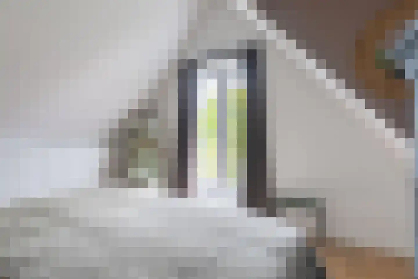 Zijdam 6 Alkmaar thumbnail 51