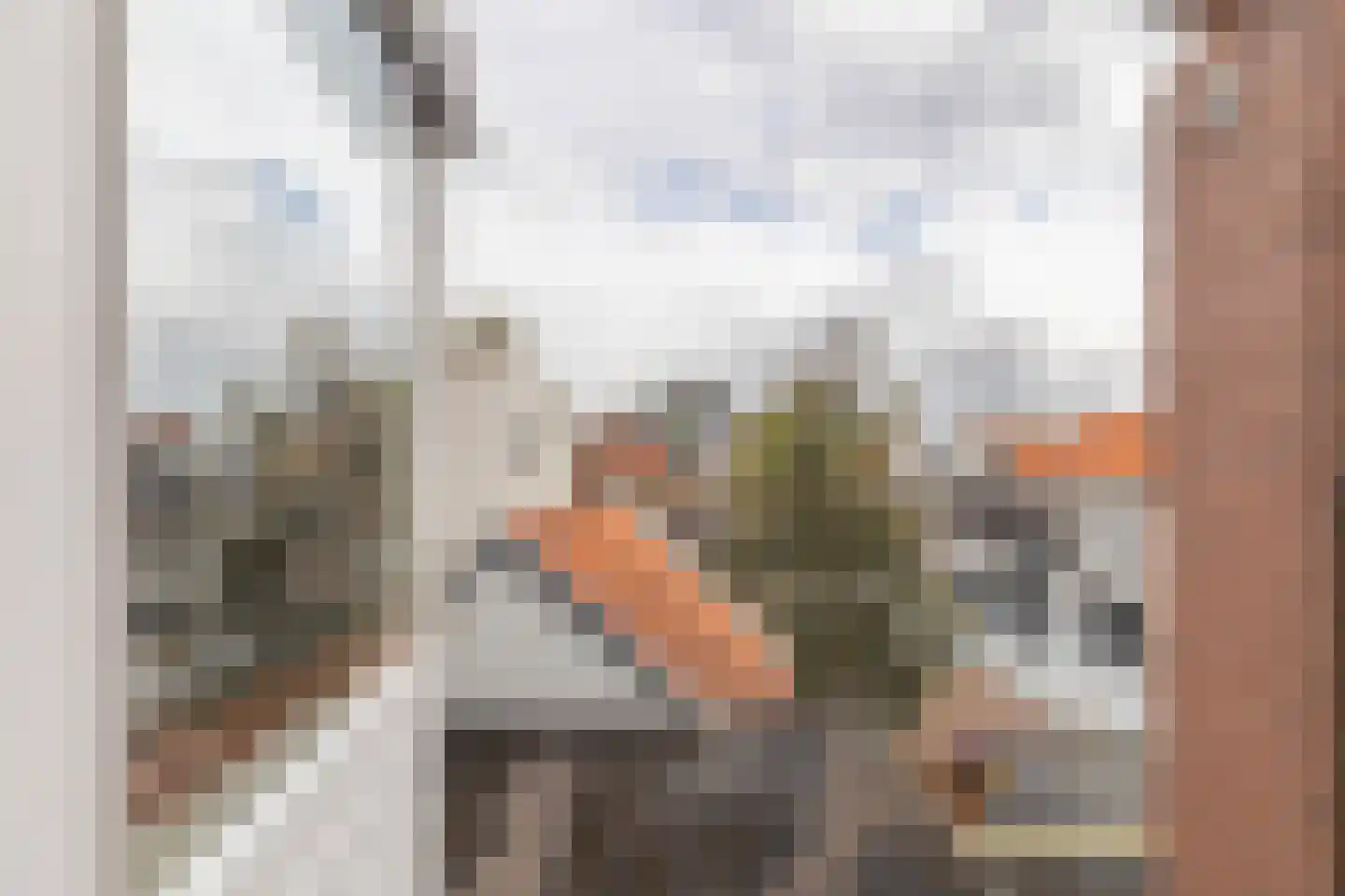 Zijdam 6 Alkmaar thumbnail 55