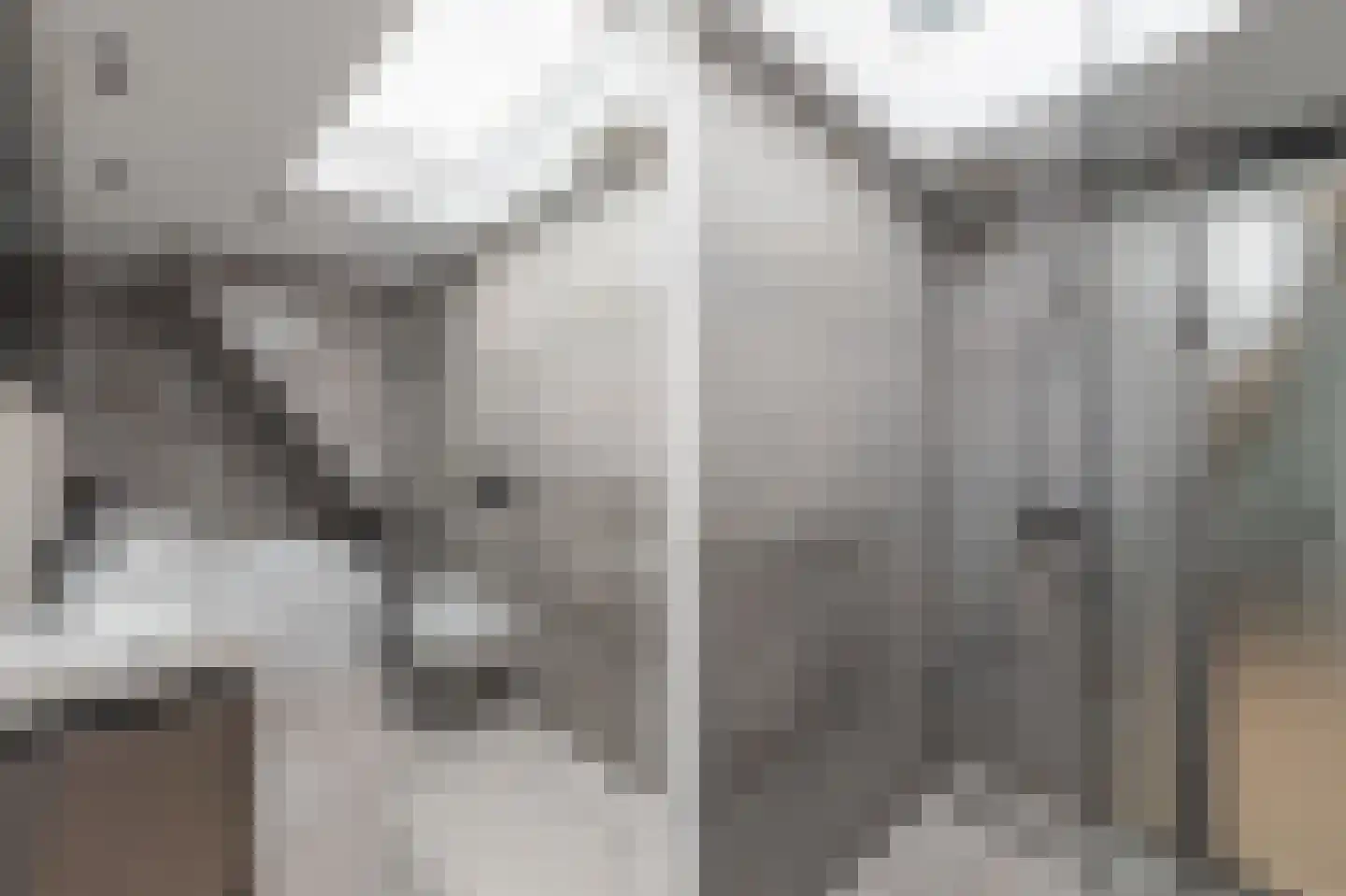 Zijdam 6 Alkmaar thumbnail 59