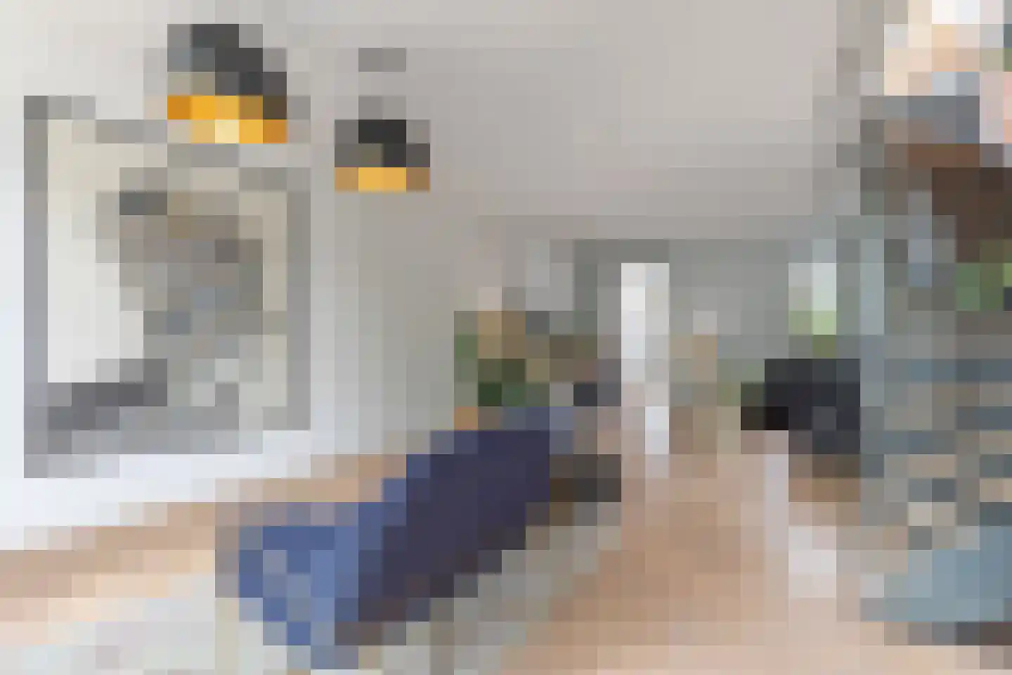 Zijdam 6 Alkmaar thumbnail 6